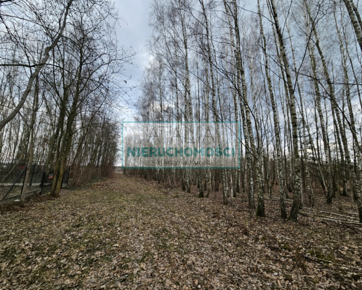 Działka Sprzedaż Słubica B