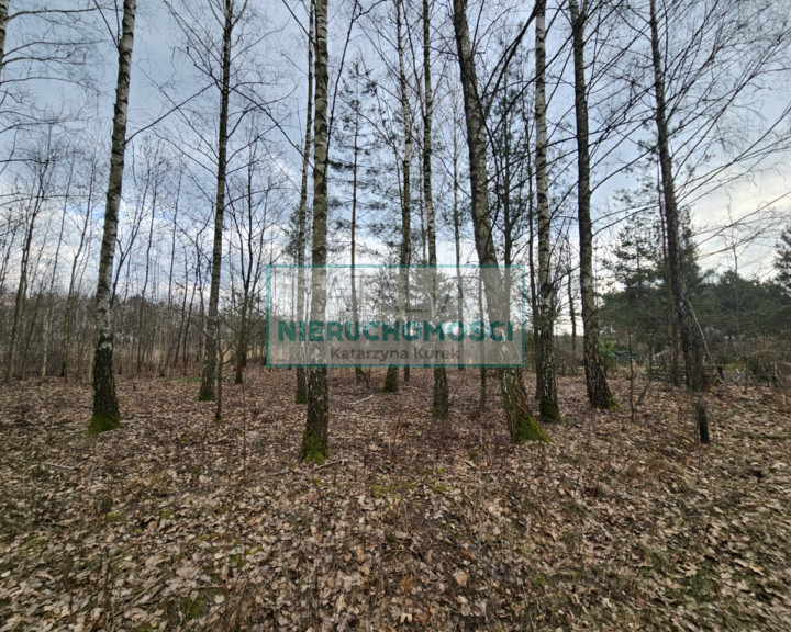Działka Sprzedaż Słubica B