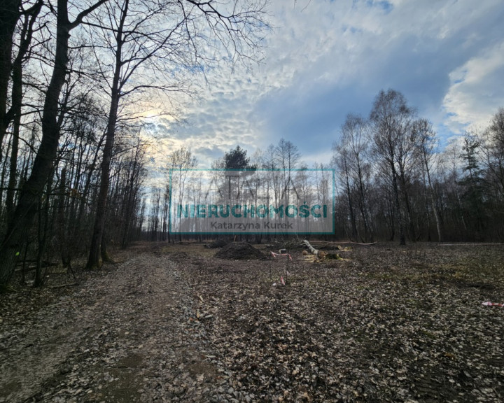 Działka Sprzedaż Zaręby