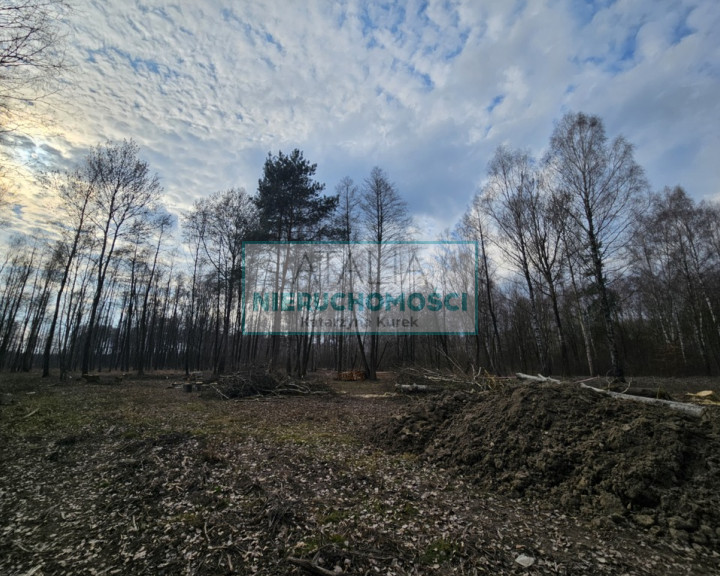 Działka Sprzedaż Zaręby