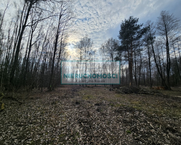 Działka Sprzedaż Zaręby