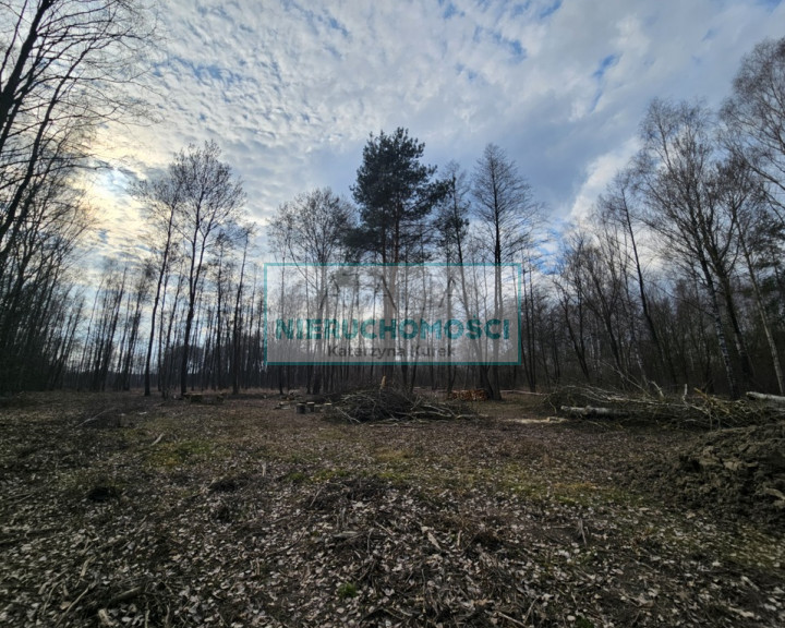 Działka Sprzedaż Zaręby