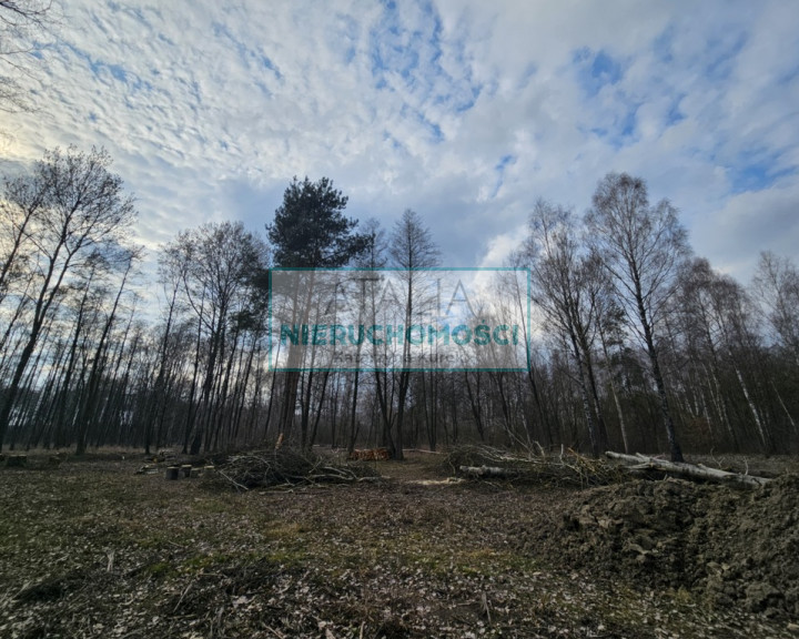 Działka Sprzedaż Zaręby