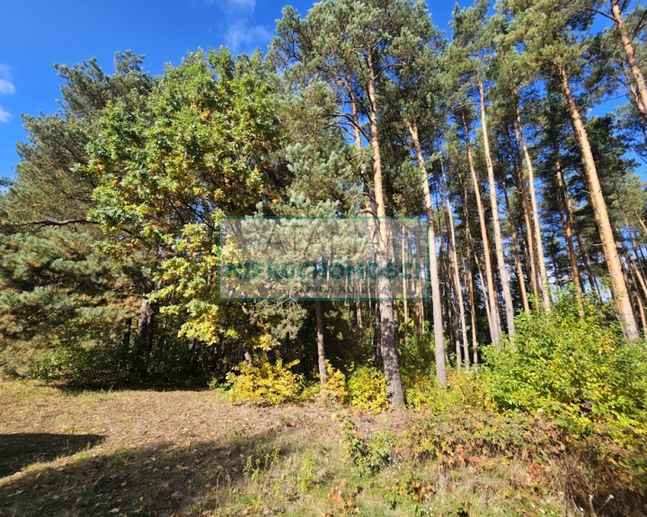 Działka Sprzedaż Adamów-Wieś