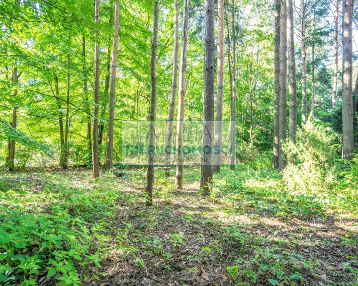 Działka Sprzedaż Adamów-Wieś