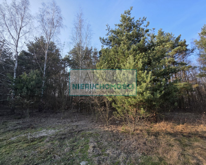 Działka Sprzedaż Mościska