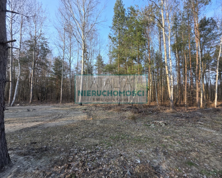 Działka Sprzedaż Mościska