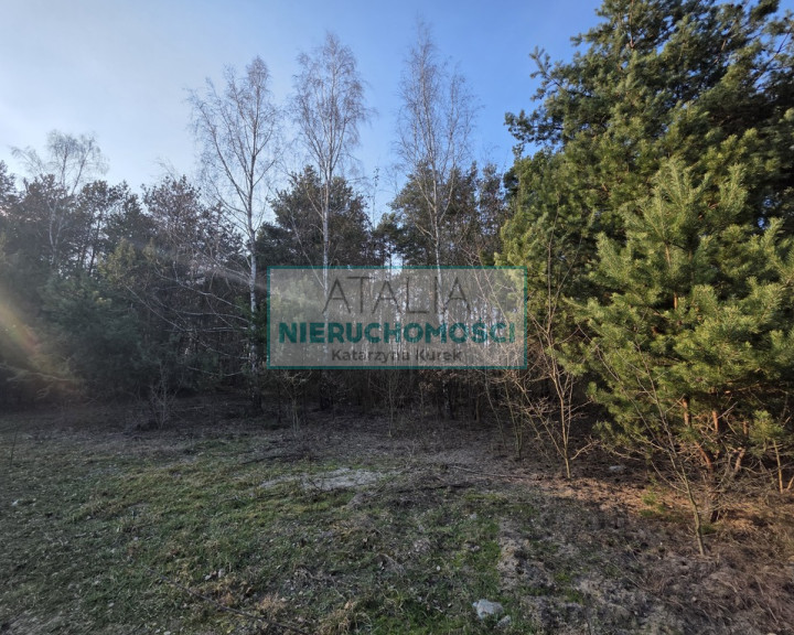 Działka Sprzedaż Mościska