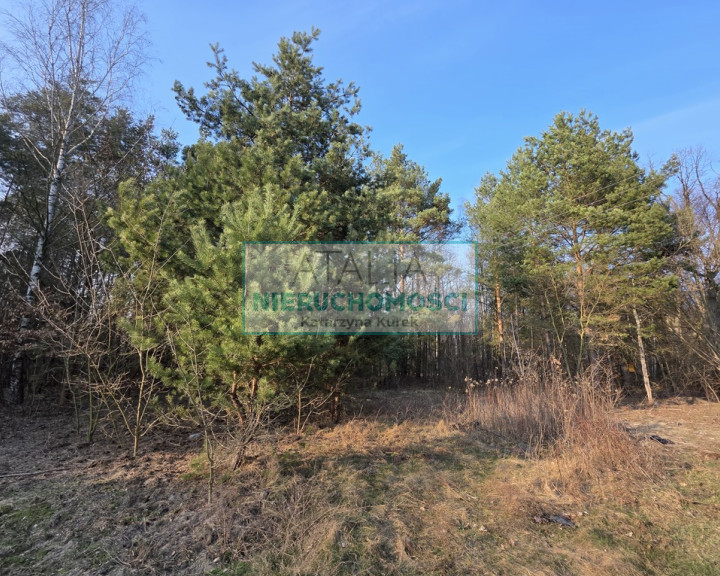 Działka Sprzedaż Mościska