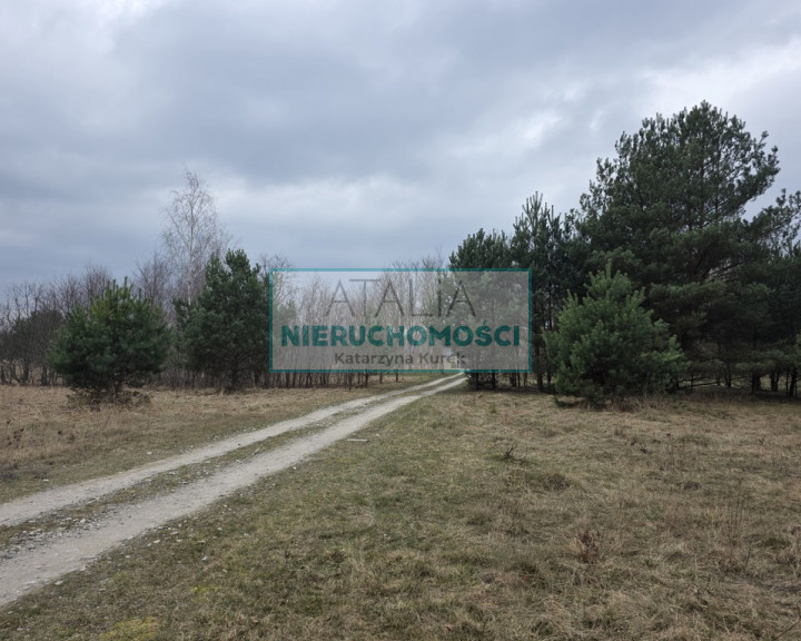 Działka Sprzedaż Budy Zosine