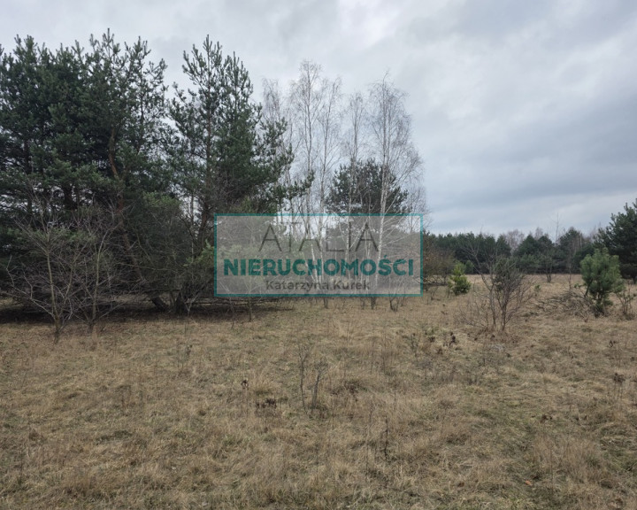 Działka Sprzedaż Budy Zosine
