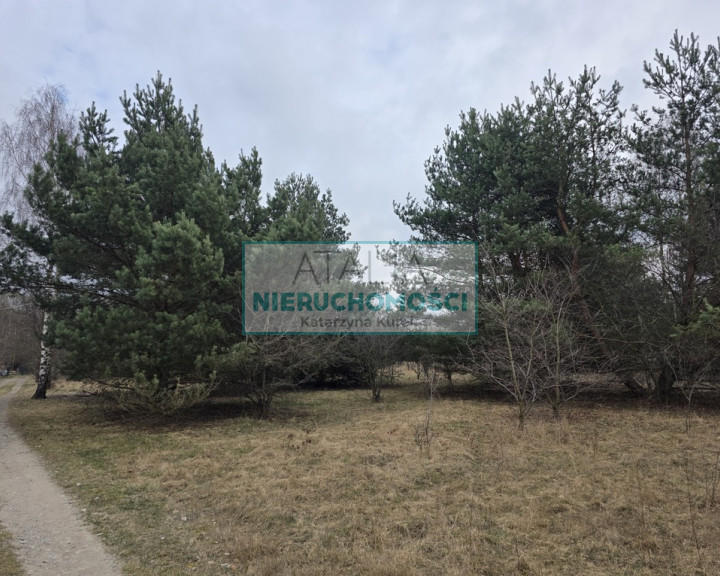 Działka Sprzedaż Budy Zosine