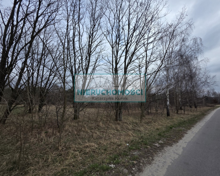 Działka Sprzedaż Budy Zosine