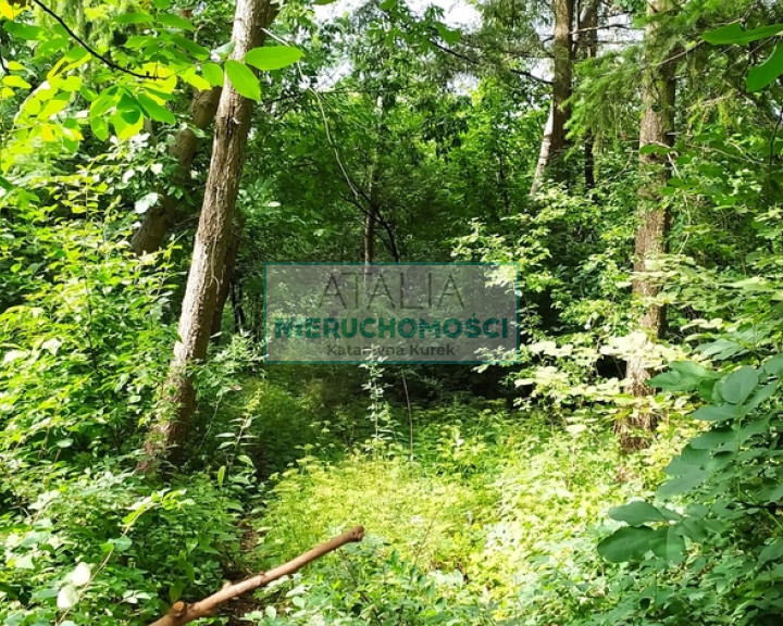 Działka Sprzedaż Grodzisk Mazowiecki