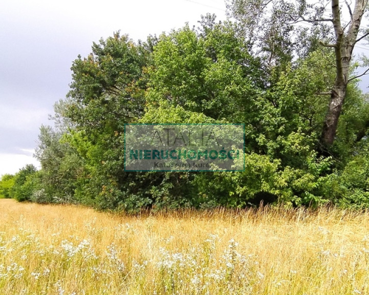 Działka Sprzedaż Grodzisk Mazowiecki