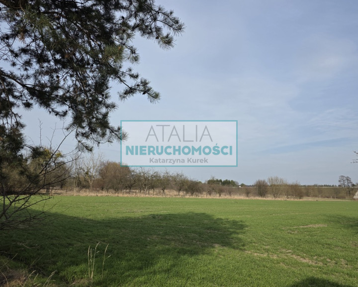 Działka Sprzedaż Grodzisk Mazowiecki