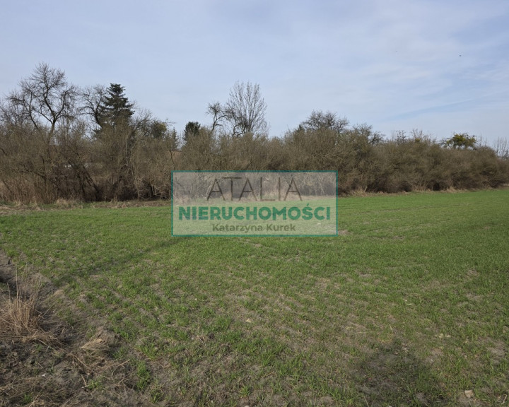 Działka Sprzedaż Kozery