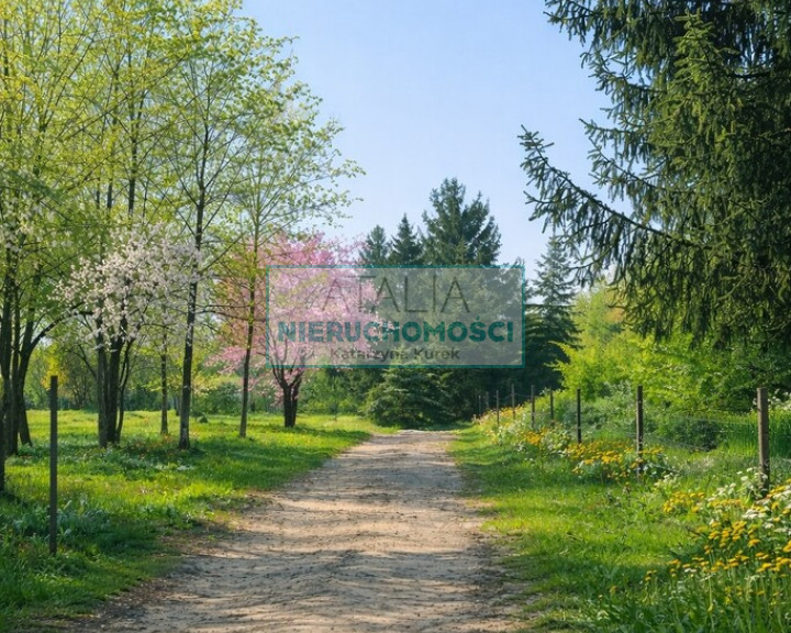 Działka Sprzedaż Radziejowice-Parcel