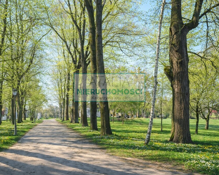 Działka Sprzedaż Radziejowice-Parcel