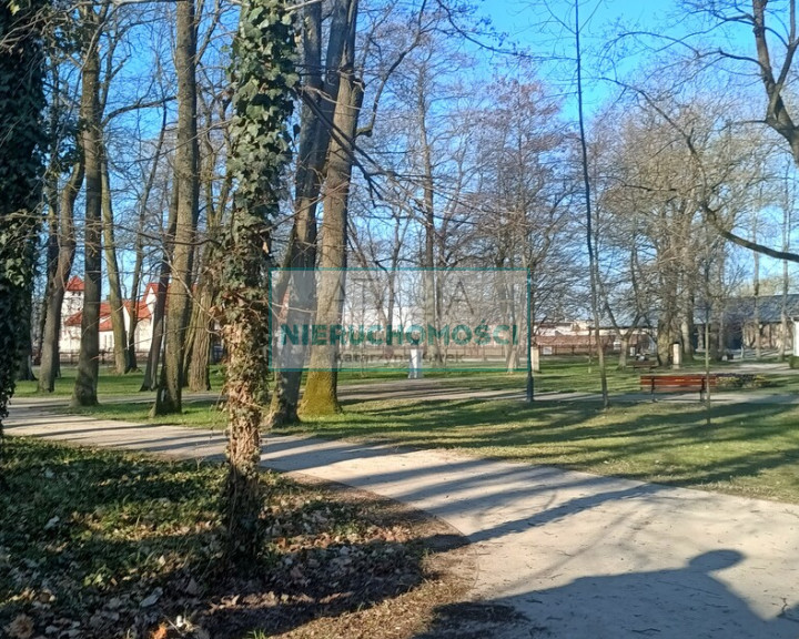Działka Sprzedaż Radziejowice-Parcel