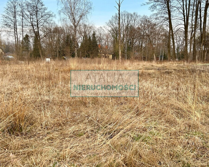 Działka Sprzedaż Janinów