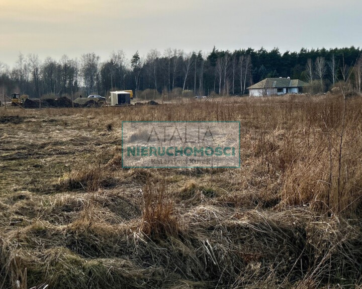 Działka Sprzedaż Janinów
