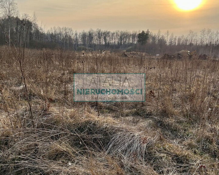 Działka Sprzedaż Janinów