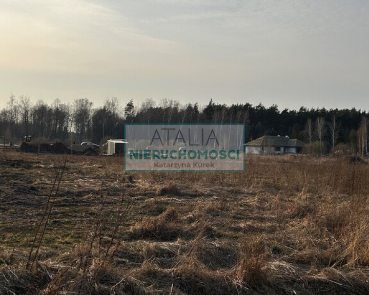 Działka Sprzedaż Janinów