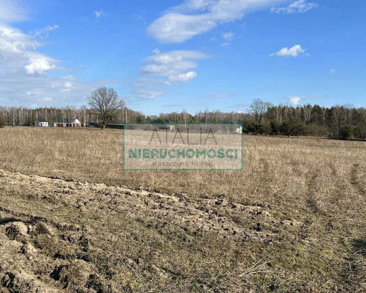 Działka Sprzedaż Wężyk