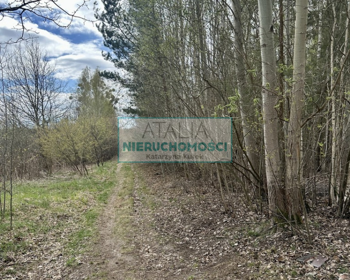 Działka Sprzedaż Strzeniówka