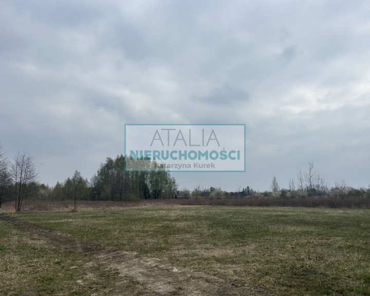 Działka Sprzedaż Baranów