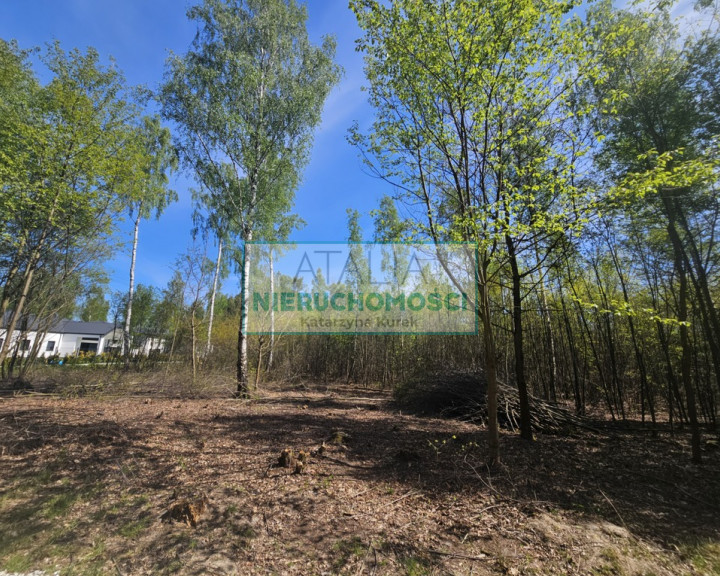 Działka Sprzedaż Szczęsne