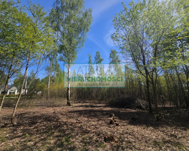 Działka Sprzedaż Szczęsne