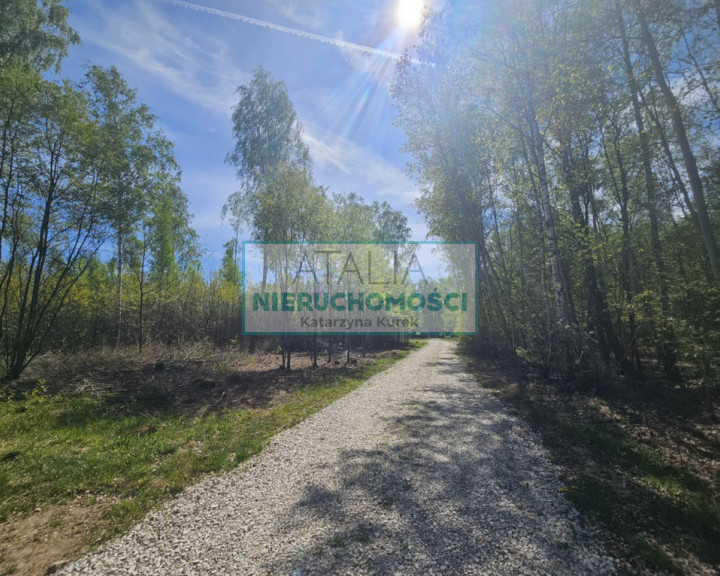 Działka Sprzedaż Szczęsne