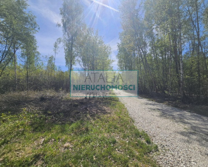 Działka Sprzedaż Szczęsne