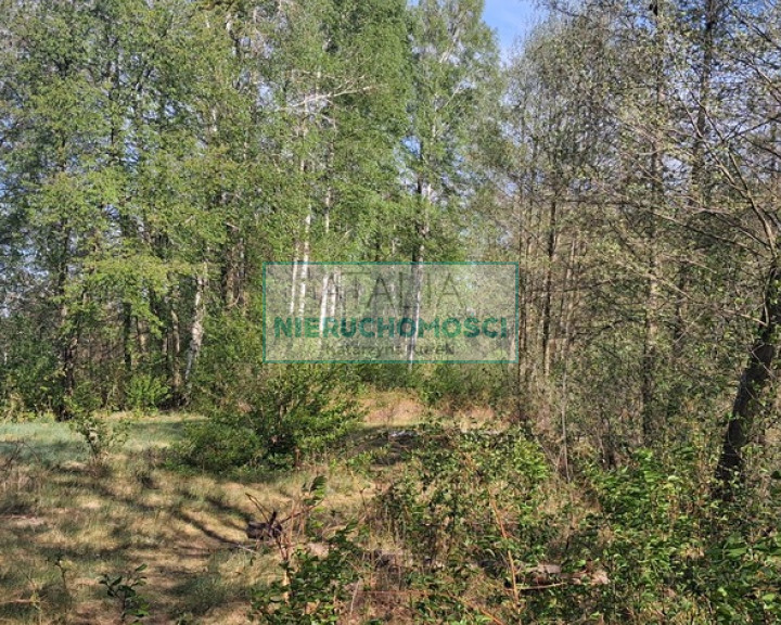Działka Sprzedaż Janinów