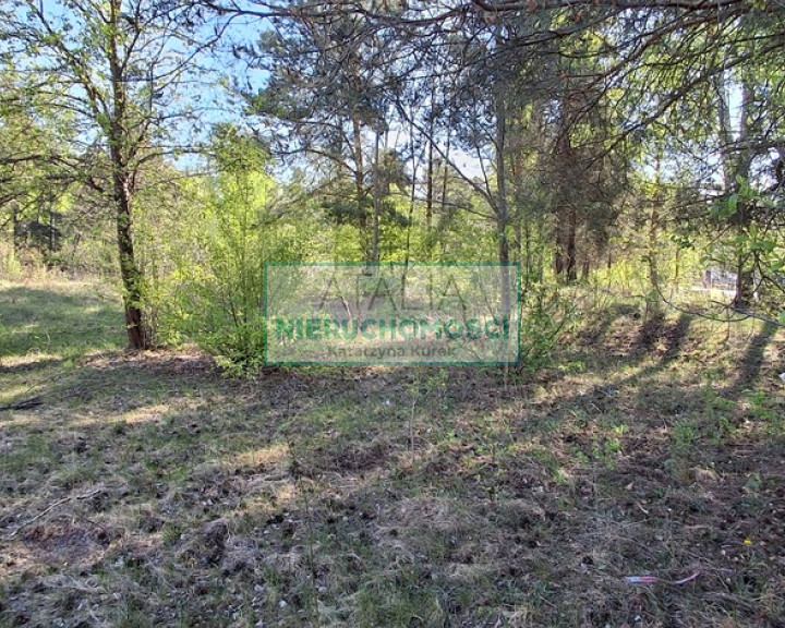 Działka Sprzedaż Janinów