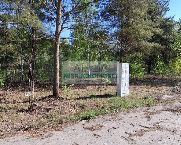 Działka Sprzedaż Janinów