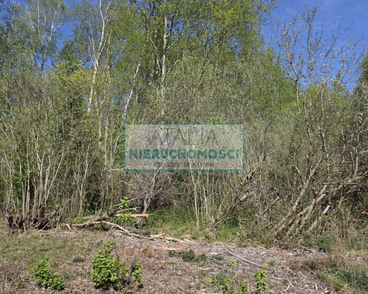 Działka Sprzedaż Szczęsne
