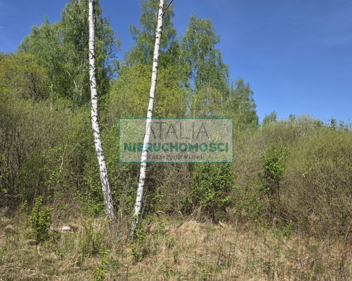 Działka Sprzedaż Szczęsne