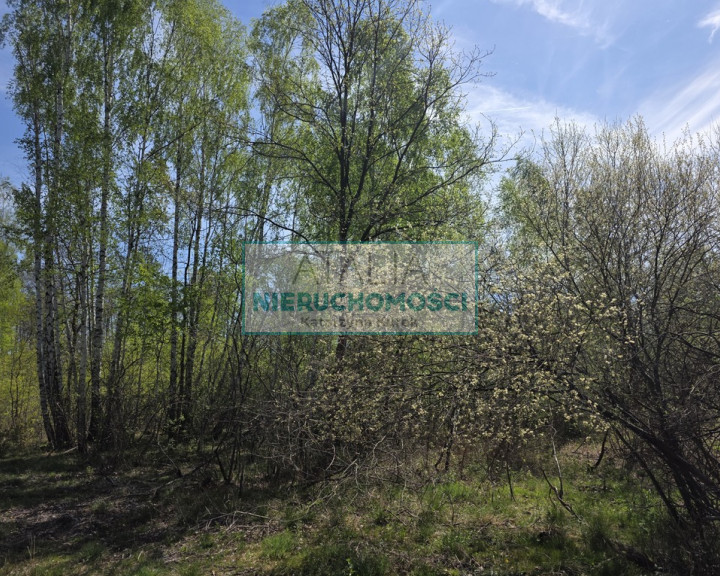 Działka Sprzedaż Szczęsne