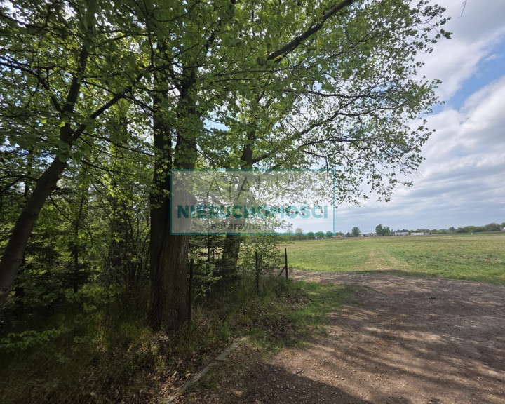 Działka Sprzedaż Chrzanów Mały
