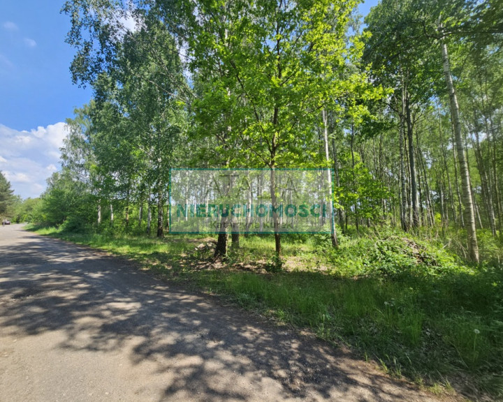 Działka Sprzedaż Kozerki