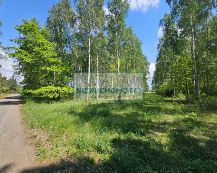 Działka Sprzedaż Kozerki