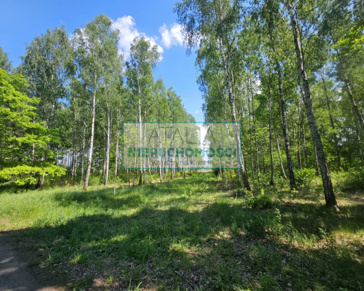 Działka Sprzedaż Kozerki