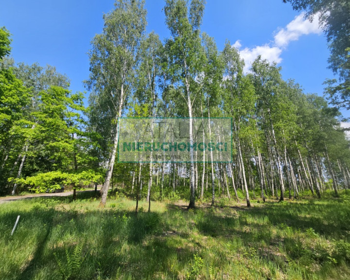 Działka Sprzedaż Kozerki