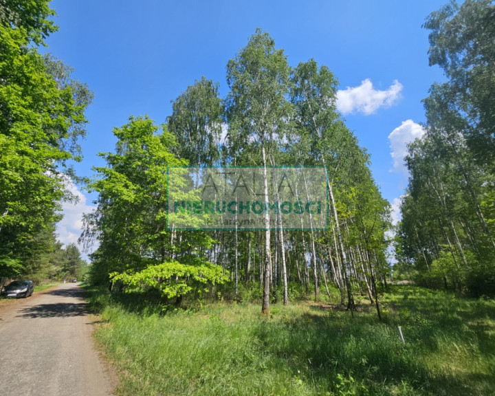 Działka Sprzedaż Kozerki