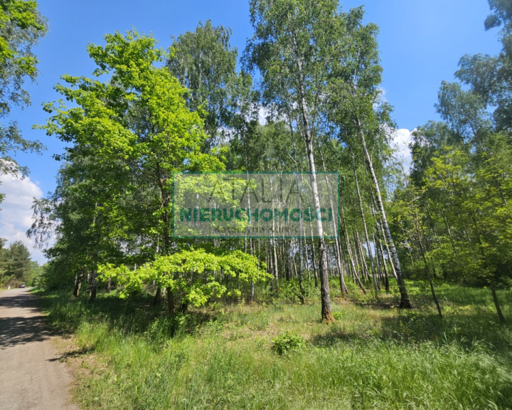 Działka Sprzedaż Kozerki