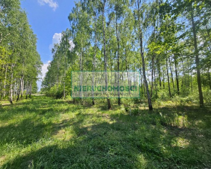 Działka Sprzedaż Grodzisk Mazowiecki