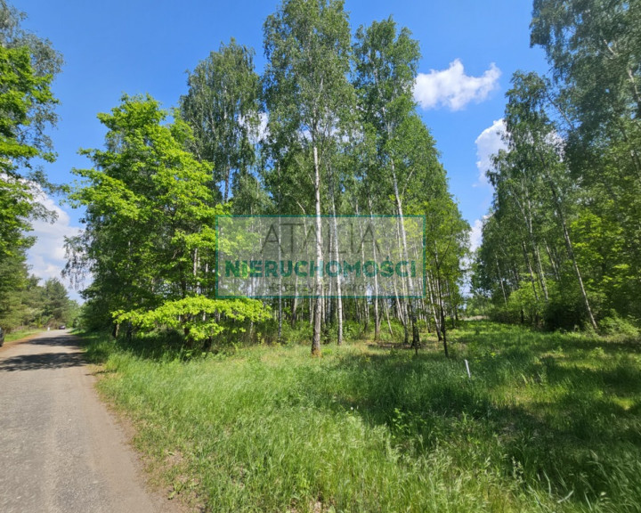 Działka Sprzedaż Grodzisk Mazowiecki